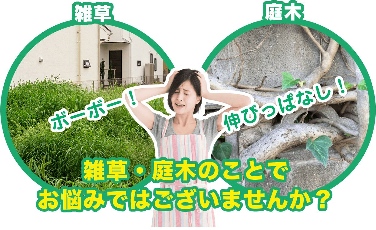 雑草・庭木のことで お悩みではございませんか?